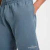 Apex Lifting Essential Shorts