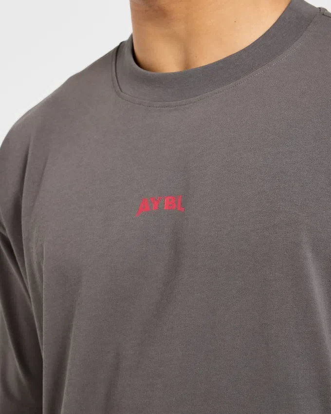 Wesley Vissers X Beyond Limits T-shirt i oversized-modell