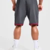 Wesley Vissers x Old School kontrastshorts