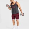 Wesley Vissers x Old School kontrastshorts